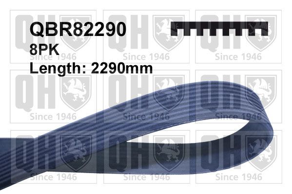 QUINTON HAZELL Поликлиновой ремень QBR82290